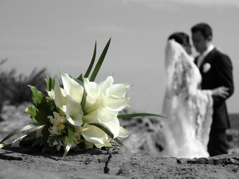 Fotografia de pedromolinaphoto - Galeria Fotografica: pedromolinaphoto - Foto: 