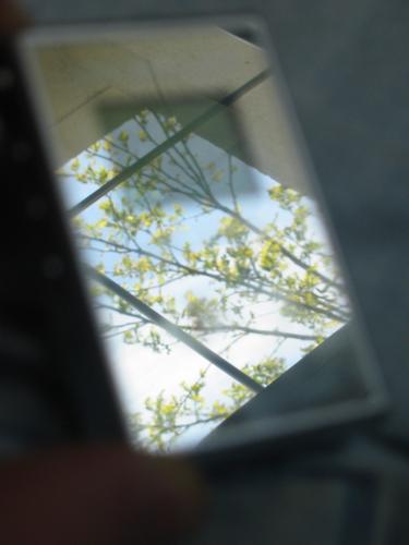 Fotografia de Ozreib - Galeria Fotografica: 001 - Foto: Arbol tecnologico