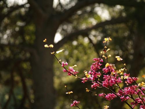 Fotografia de davinXi - Galeria Fotografica: Primeros planos - Foto: 