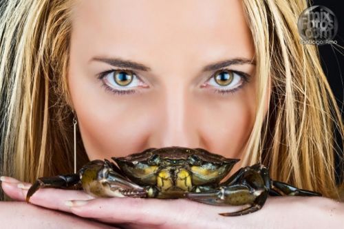 Fotografia de Monic - Galeria Fotografica: Sesiones  nuevas - Foto: 