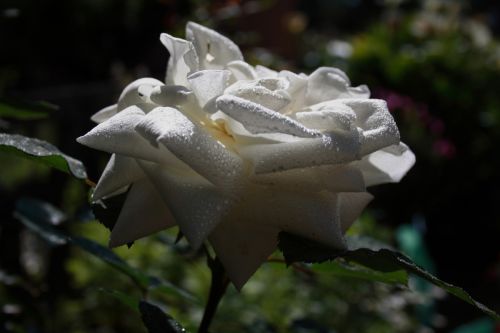 Fotografia de JUANCAR ERANDIO - Galeria Fotografica: Hacia el aeropuerto - Foto: 