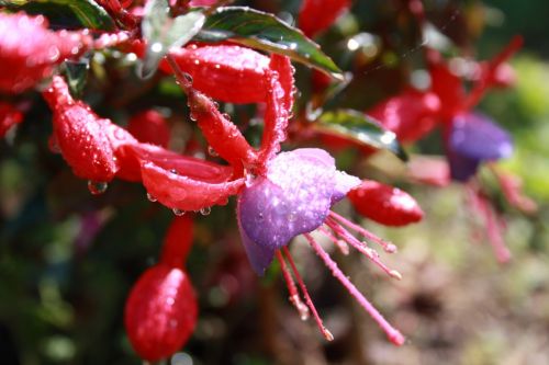 Fotografia de JUANCAR ERANDIO - Galeria Fotografica: Hacia el aeropuerto - Foto: 
