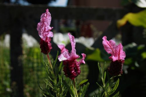 Fotografia de JUANCAR ERANDIO - Galeria Fotografica: Hacia el aeropuerto - Foto: 