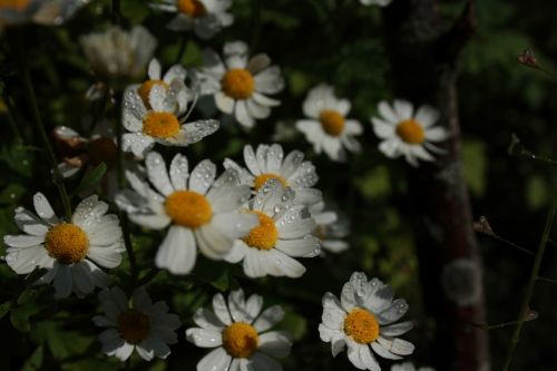 Fotografia de JUANCAR ERANDIO - Galeria Fotografica: Hacia el aeropuerto - Foto: 