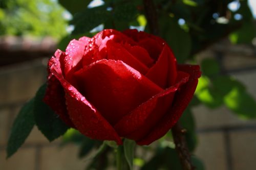 Fotografia de JUANCAR ERANDIO - Galeria Fotografica: Hacia el aeropuerto - Foto: 