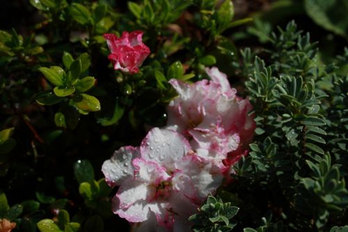 Fotografia de JUANCAR ERANDIO - Galeria Fotografica: Hacia el aeropuerto - Foto: 