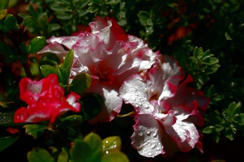 Fotografia de JUANCAR ERANDIO - Galeria Fotografica: Hacia el aeropuerto - Foto: 