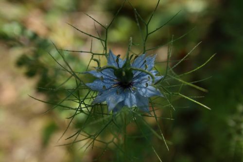 Fotografia de JUANCAR ERANDIO - Galeria Fotografica: Hacia el aeropuerto - Foto: 