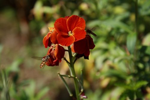 Fotografia de JUANCAR ERANDIO - Galeria Fotografica: Hacia el aeropuerto - Foto: 