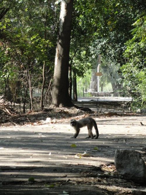 Fotografia de CarlosMiller - Galeria Fotografica: varias fotos - Foto: 