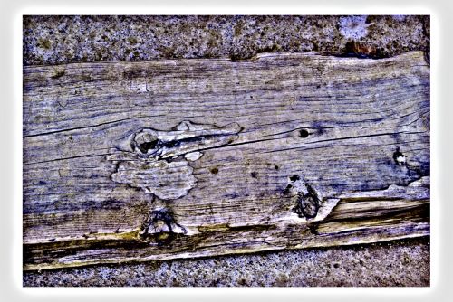 Fotografia de Esteve JG - Galeria Fotografica: Construyendo - Foto: 