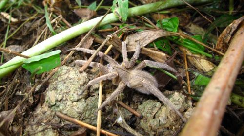 Fotografia de santiago esber - Galeria Fotografica: belleza natural - Foto: 