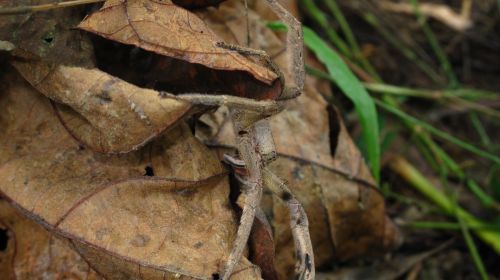 Fotografia de santiago esber - Galeria Fotografica: belleza natural - Foto: 