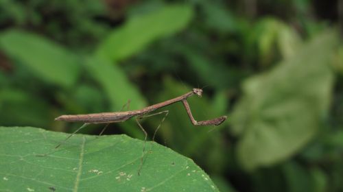 Fotografia de santiago esber - Galeria Fotografica: belleza natural - Foto: 