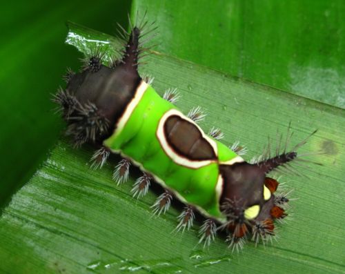 Fotografia de santiago esber - Galeria Fotografica: belleza natural - Foto: 