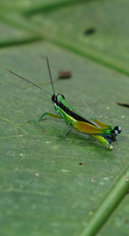 Fotografia de santiago esber - Galeria Fotografica: belleza natural - Foto: mezclada naturaleza