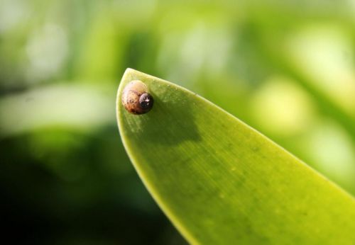 Fotografia de aguilanegratkd - Galeria Fotografica: aqua y tempestad. - Foto: 