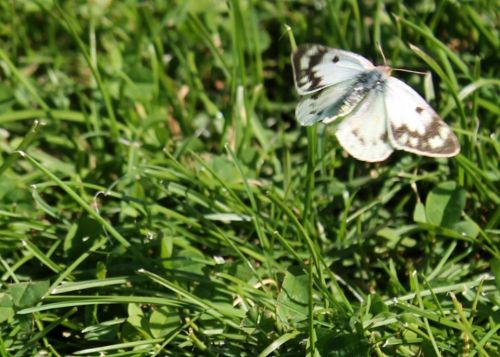 Fotografia de aguilanegratkd - Galeria Fotografica: aqua y tempestad. - Foto: 
