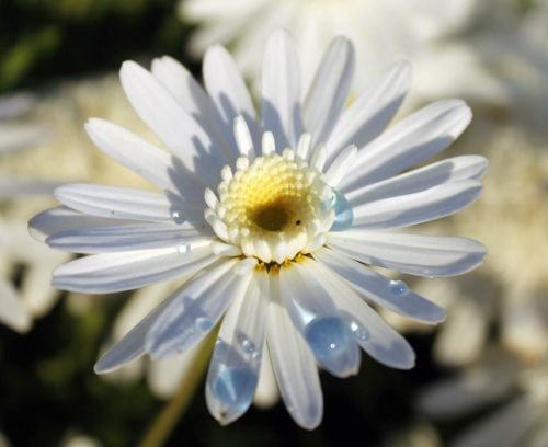 Fotografia de aguilanegratkd - Galeria Fotografica: aqua y tempestad. - Foto: 