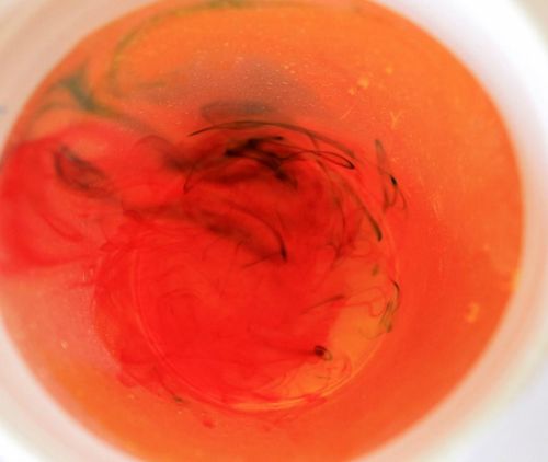 Fotografia de aguilanegratkd - Galeria Fotografica: aqua y tempestad. - Foto: 