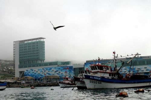 Fotografia de aguilanegratkd - Galeria Fotografica: aqua y tempestad. - Foto: 