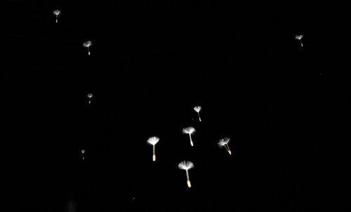 Fotografia de aguilanegratkd - Galeria Fotografica: aqua y tempestad. - Foto: 