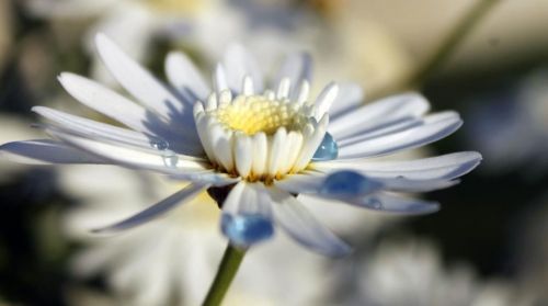 Fotografia de aguilanegratkd - Galeria Fotografica: aqua y tempestad. - Foto: 