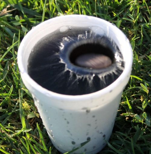 Fotografia de aguilanegratkd - Galeria Fotografica: aqua y tempestad. - Foto: 