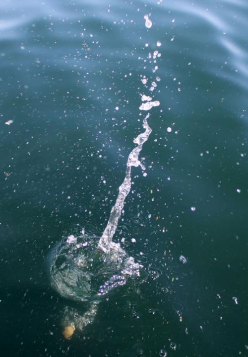 Fotografia de aguilanegratkd - Galeria Fotografica: aqua y tempestad. - Foto: 