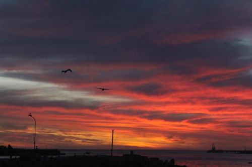 Fotografia de aguilanegratkd - Galeria Fotografica: aqua y tempestad. - Foto: 