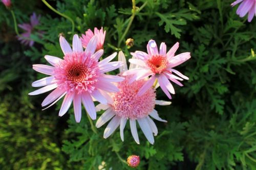 Fotografia de aguilanegratkd - Galeria Fotografica: aqua y tempestad. - Foto: 