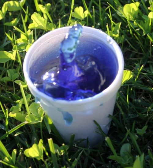 Fotografia de aguilanegratkd - Galeria Fotografica: aqua y tempestad. - Foto: 