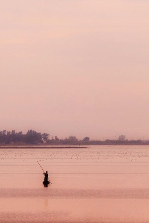 Fotografia de Francisco - Galeria Fotografica: PLAYAS Y COSTAS - Foto: 