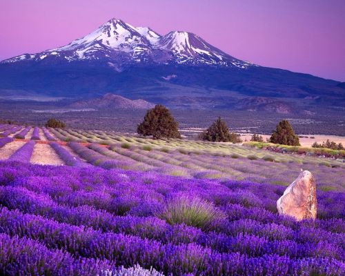 Fotografia de Francisco - Galeria Fotografica: MUNTAAS - Foto: 