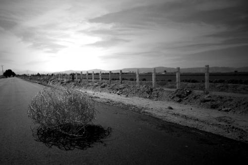 Fotografia de Karlos Esparzza Fotograf�a - Galeria Fotografica: Un dia por mi ciudad - Foto: Bienvenido a La Laguna