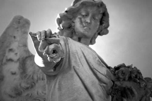 Fotografia de Karlos Esparzza Fotografa - Galeria Fotografica: Un dia por mi ciudad - Foto: Angel Caido