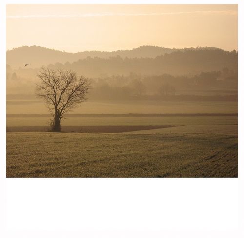 Fotografia de pluripersonal - Galeria Fotografica: paisaje - Foto: la bisbal