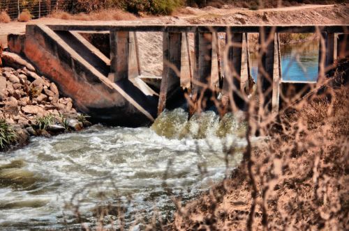 Fotografia de sergio - Galeria Fotografica: mis primeras imagenes - Foto: 