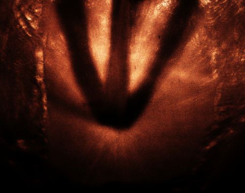 Fotografia de Esteve JG - Galeria Fotografica: simplemente agua - Foto: 