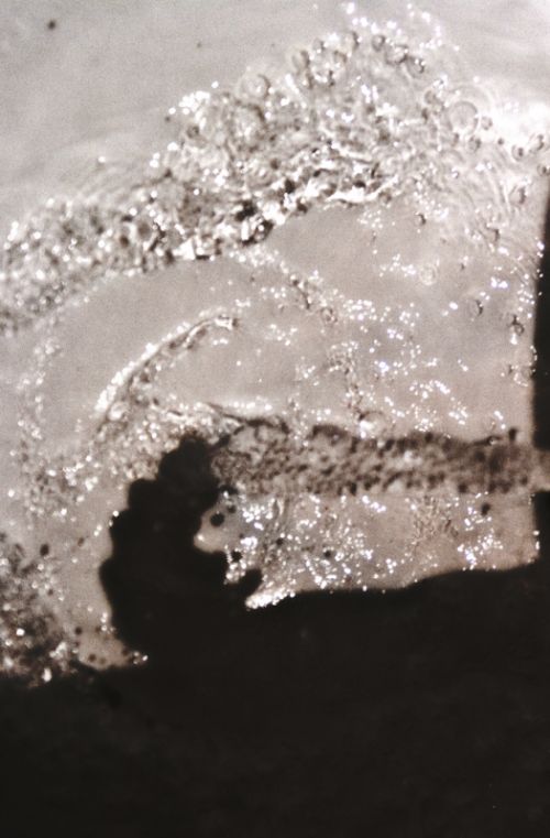 Fotografia de Esteve JG - Galeria Fotografica: simplemente agua - Foto: 