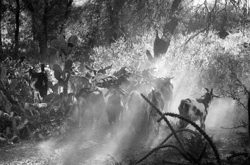 Fotografia de Andrs Lofiego - Galeria Fotografica: Con La Tierra - Foto: 