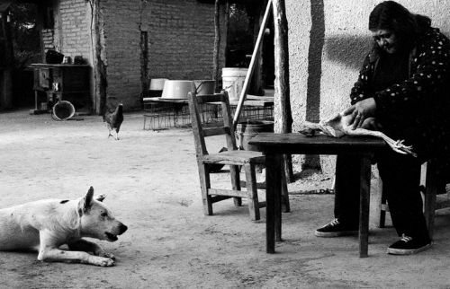 Fotografia de Andrs Lofiego - Galeria Fotografica: Con La Tierra - Foto: 