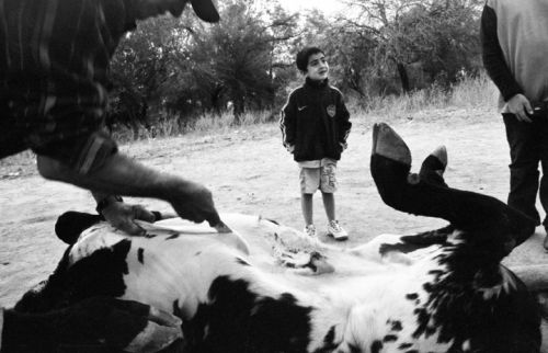 Fotografia de Andrs Lofiego - Galeria Fotografica: Con La Tierra - Foto: 