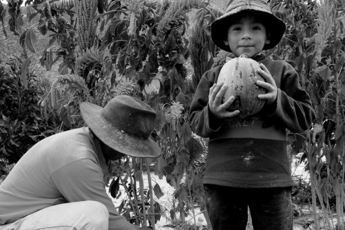 Fotografia de Andrs Lofiego - Galeria Fotografica: Con La Tierra - Foto: 