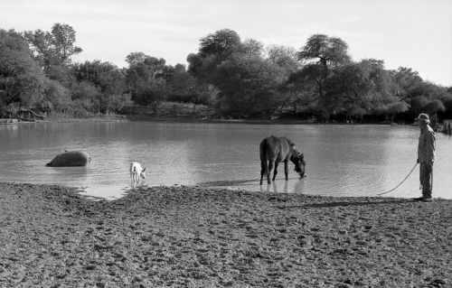 Fotografia de Andrs Lofiego - Galeria Fotografica: Con La Tierra - Foto: 