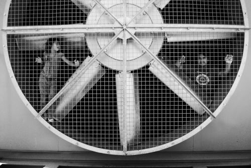 Fotografia de Andrs Lofiego - Galeria Fotografica: Con La Tierra - Foto: 