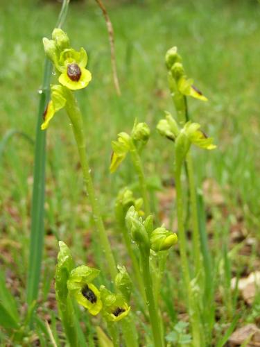 Fotografia de espadas a - Galeria Fotografica: M�nimas - Foto: 