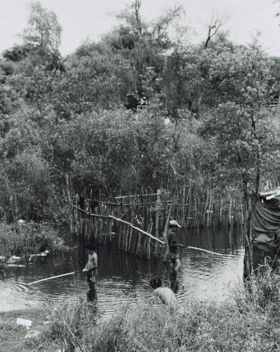 Fotografia de Maximiliano Blanco - Galeria Fotografica: Inundacin - Foto: 