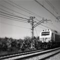 Foto de  nuevedoce - Galería: Regresiones - Fotografía: #tren#