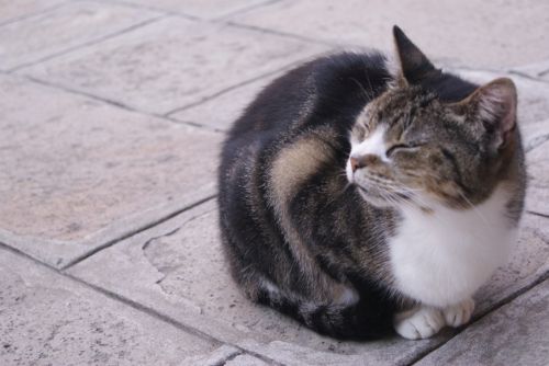 Fotografia de PabloZubiaur - Galeria Fotografica: Primera Galeria - Foto: 